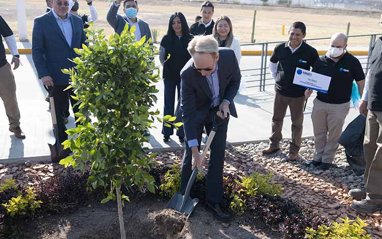 Sustainable approach, planting a tree