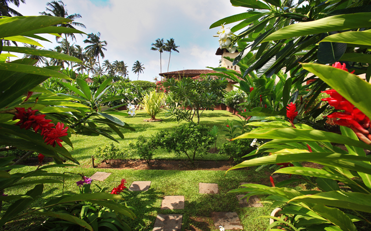 Elysium Villa