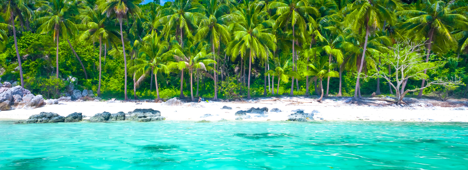 /uploads/2022/11/koh-samui.png