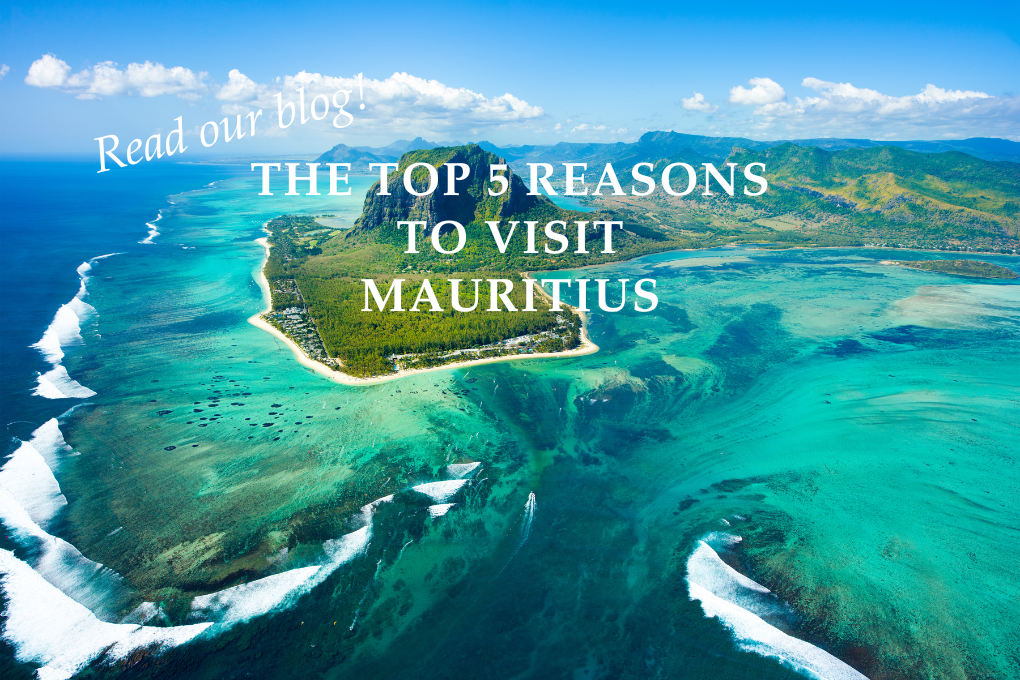 The Top 5 Reasons To Visit Mauritius  - Blog Post