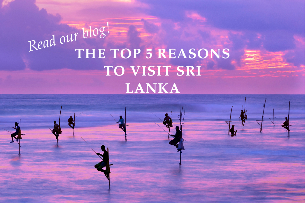 The Top 5 Reasons to Visit Sri Lanka  - Blog Post